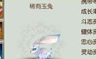 诛仙手游稀有宠物玉兔刷新时间及捕捉地点