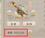 问道手游宠物死亡会掉多少亲密度